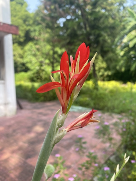 The Sun Is New Each Day – Wineglitz India (Mukul Manku)
